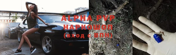 прущая мука Бородино
