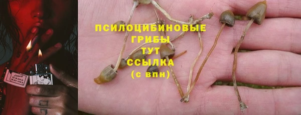 apvp Верхний Тагил