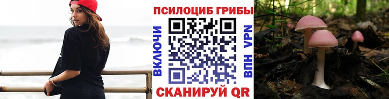 где можно купить   Пушкино  Галлюциногенные грибы MAGIC MUSHROOMS 