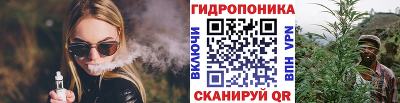 площадка как зайти  дарнет шоп  Пушкино  Канабис марихуана 